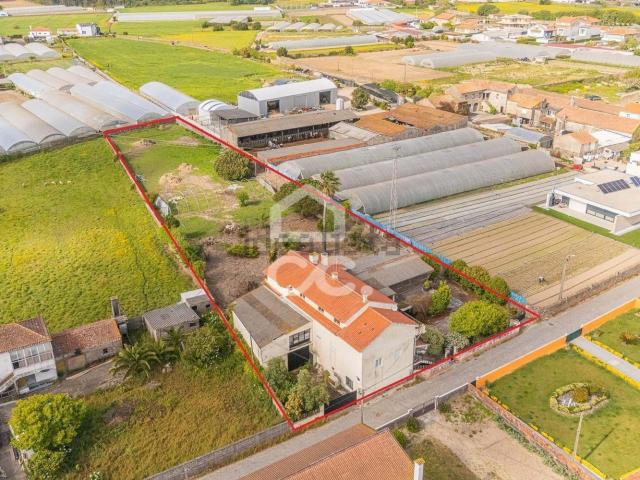 Moradia, Terroso