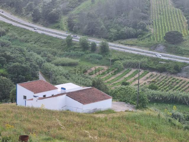 Moradia, Torres Vedras e Matacães