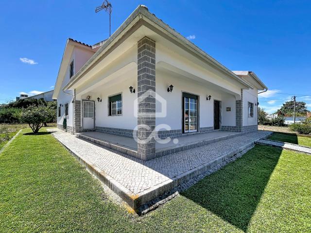 Moradia tradicional T3 com amplo lote de 3.200 m2, Óbidos, Óbidos