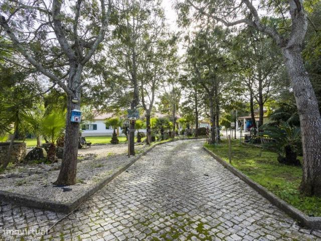 Moradia trrea T5, inserida em terreno com 11364m2 em Mafra