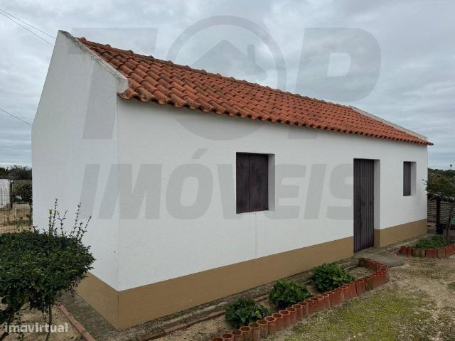 Moradia V3 Adega Garagem Terreno 10.000m2 Foros de Salvaterr.