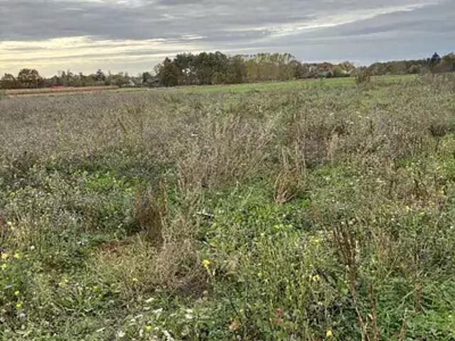 Morannes sur Sarthe Daumeray 49640 Programme neuf terrain neuf à vendre