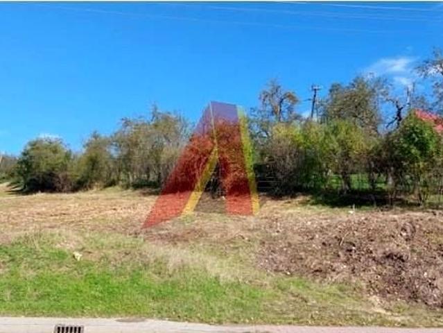 Morawica 8 000 m², Morawica