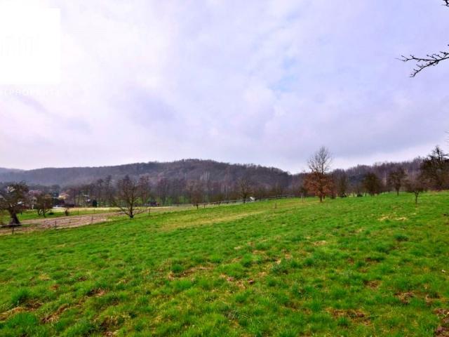 Morawica 8 000 m², Morawica