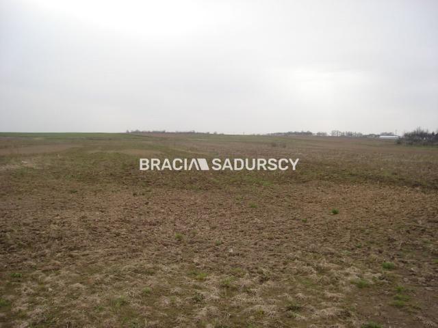 Morawica, 10 000 m2