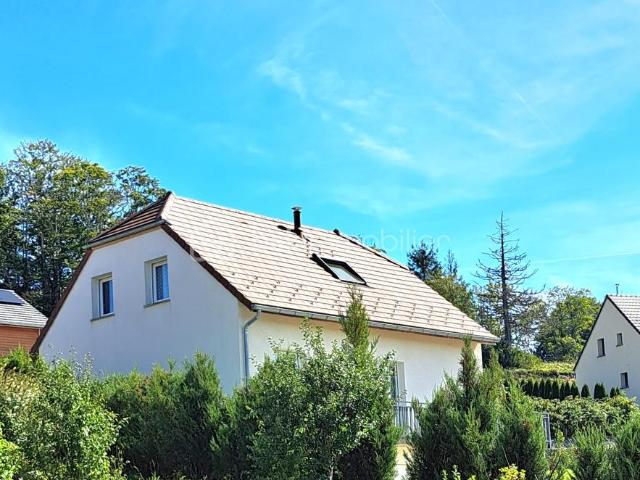 Morbier Vente Maison 39