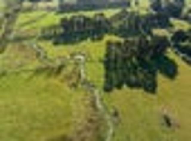 More freedom, more land, more possibilities