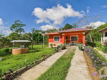 There are many eyes looking your, designed for the life.Dolega Chiriqui. casa