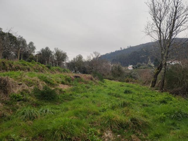 Terreno Rústico