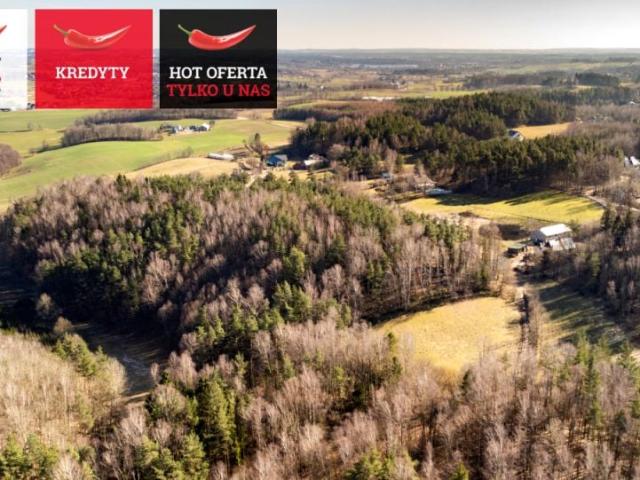 Morelowa 49 000 m², Kieleńska Huta