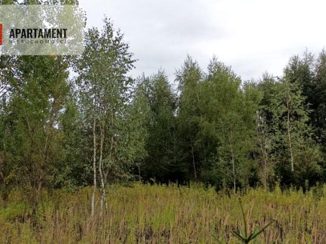 Morelowa 1 371 m², Grudziądz