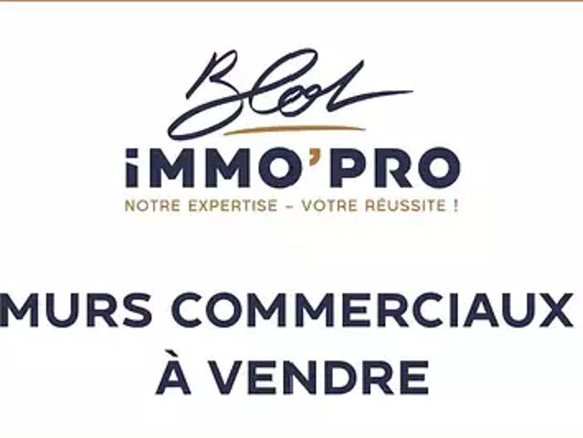 Morestel 38510 Achat / Vente immeuble