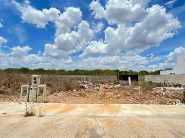 Morera Privada residencial conectividad en Cholul Merida
