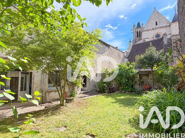 Moret sur Loing Vente Maison 77