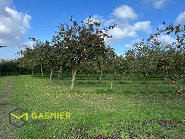Morlaix 29600 Achat / Vente maison 6 pièces t6 au dernier étage