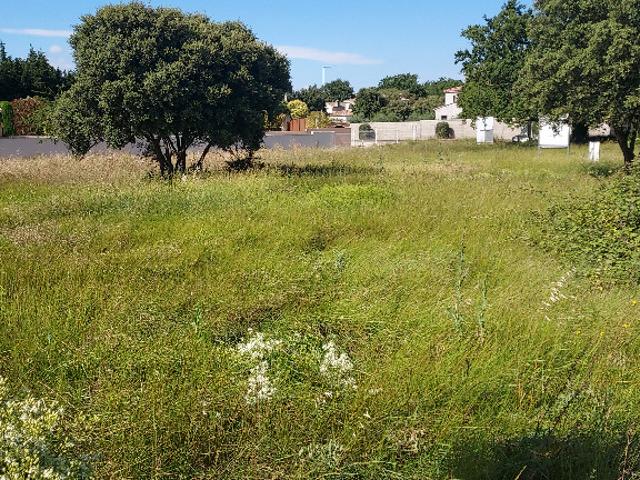 Mormoiron Vente Terrain 84