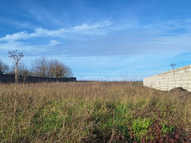 Mornac sur Seudre Vente Terrain 17