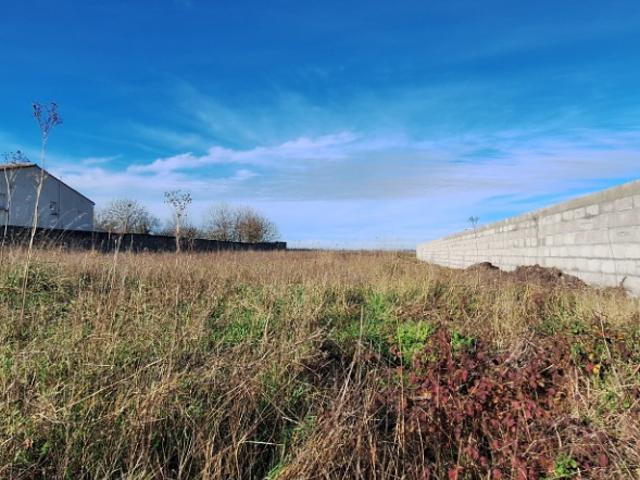 Mornac sur Seudre Vente Terrain 17