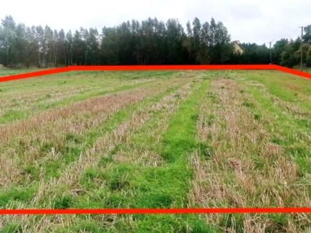 Morowo 4 950 m², Morowo