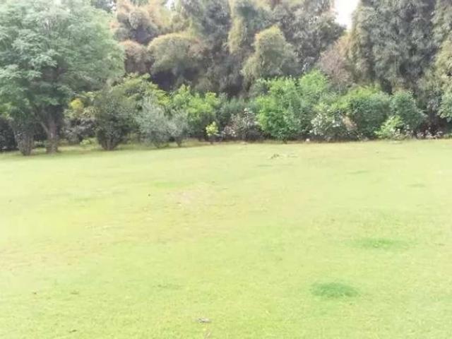 Most Beautiful 5 Kanal 2 sided commercial plot for sale F 8 4 Arab 60 Islamabad Blue Area ID 27012