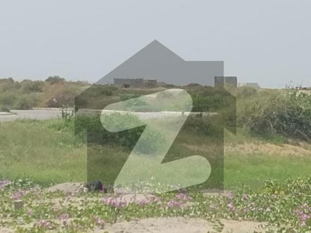Most Exclusive Chance Deal At Cheapest Price On Posh Area Of Phase 5 Near Zamzama Park Beautiful House With 90*100 Dimension DHA Phase 5