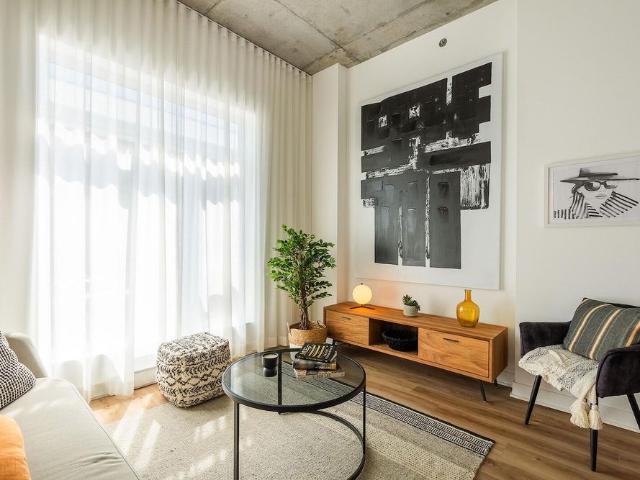 Mostra Maisonneuve apartments for rent in Montreal