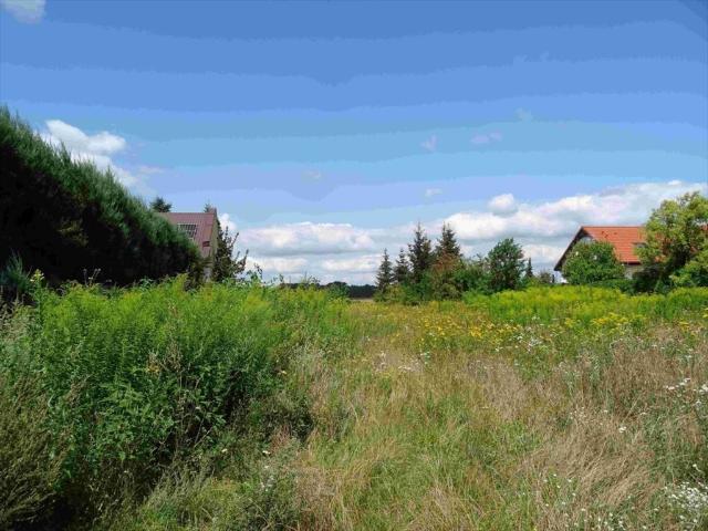 Mosina, 1 645 m2
