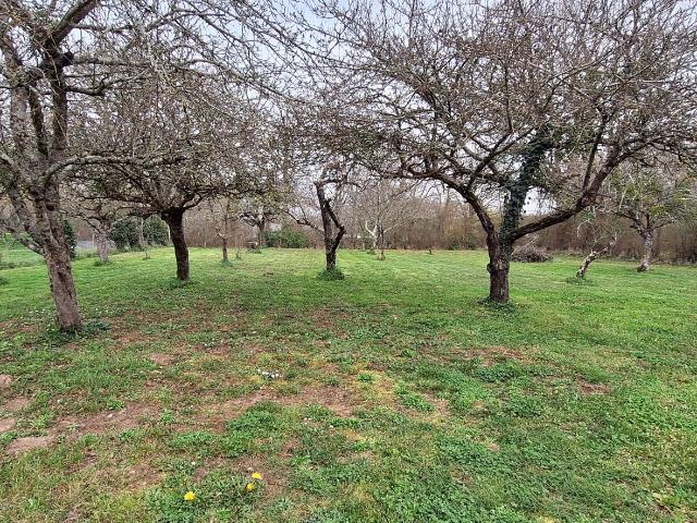 Mosnay Vente Terrain 36