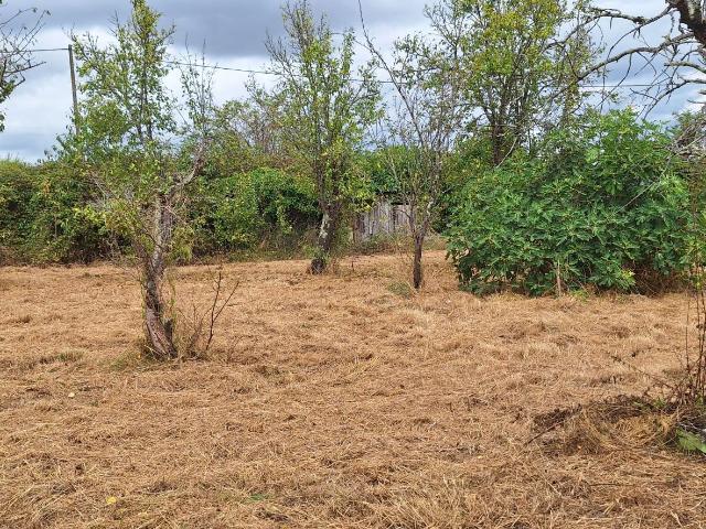 Mosnay Vente Terrain 36