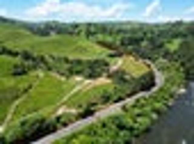 Motutara