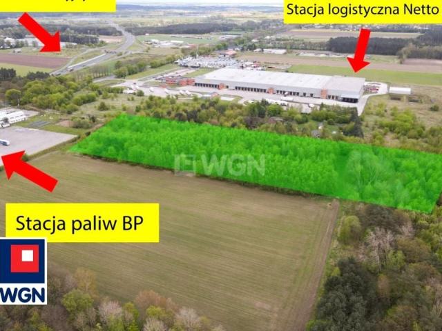 Motaniec 31 000 m², Kobylanka