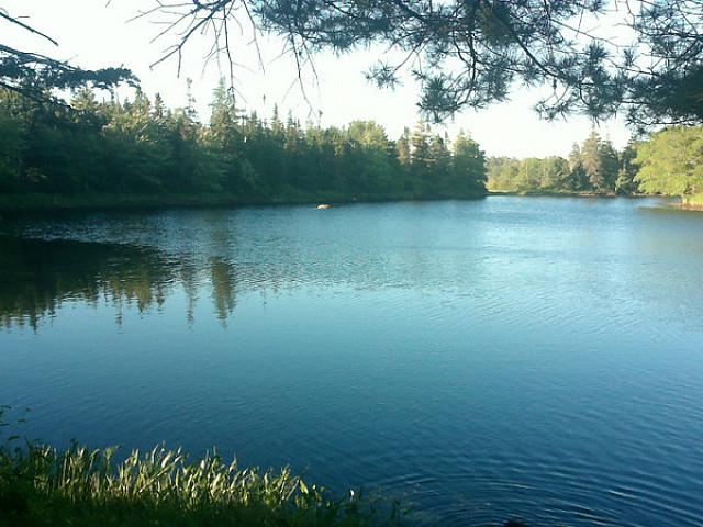 Motivated Seller Private Waterfront Cottage” Reduced “