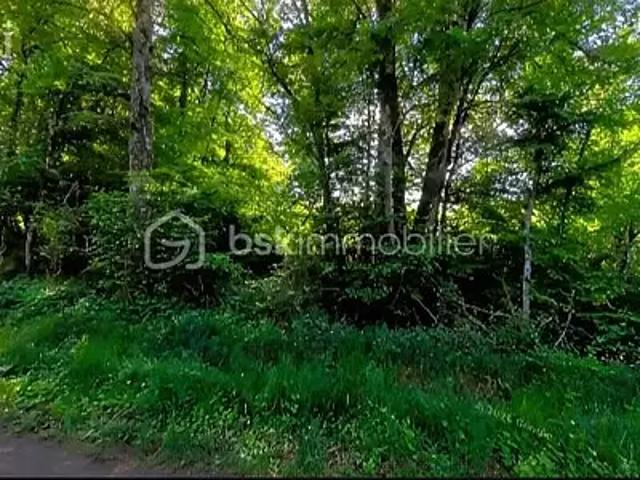 Moutiers en Puisaye 89520 Achat / Vente terrain