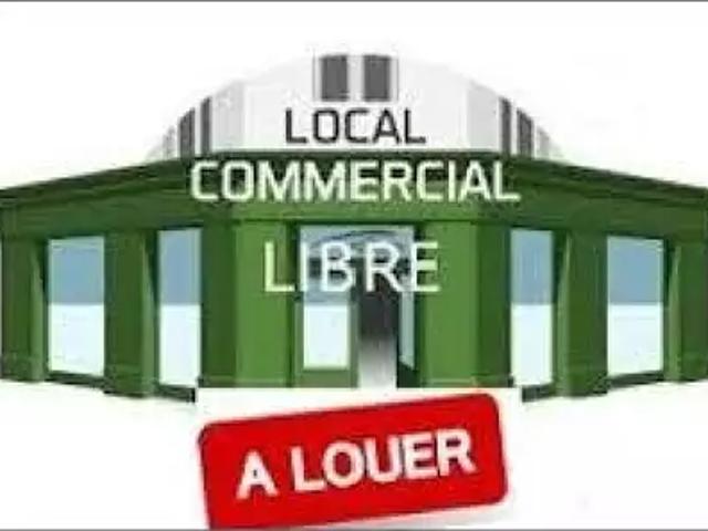 Moutiers les Mauxfaits 85540 Location divers 1 pièce