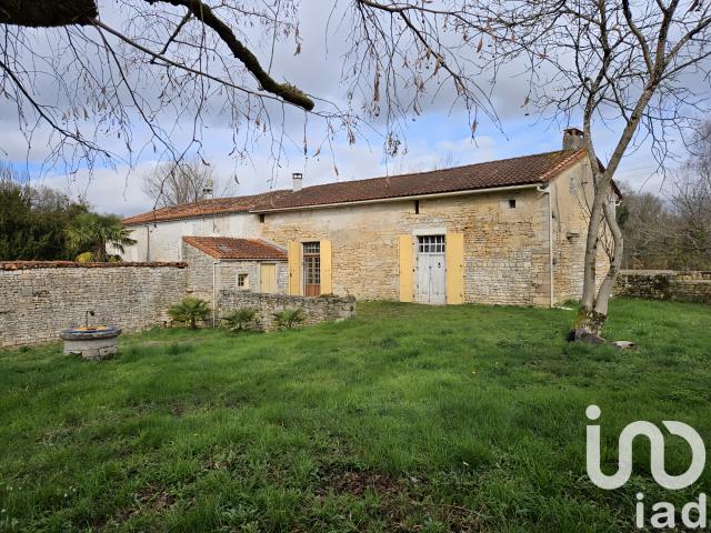 Mouton Vente Maison 16