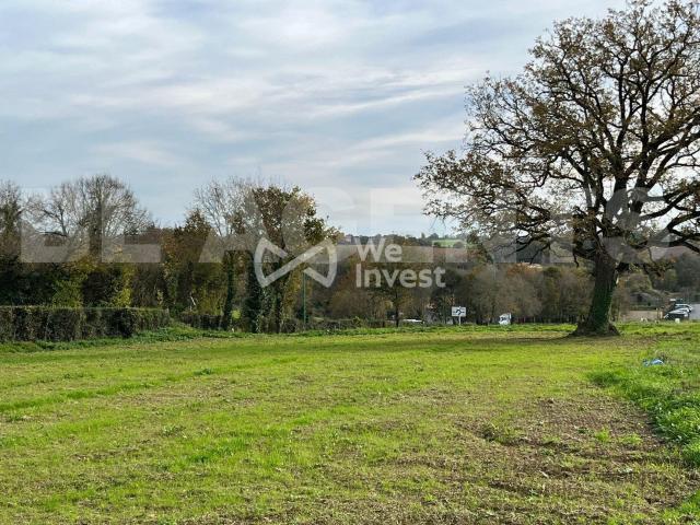 Mouchamps Vente Terrain 85