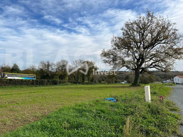 Mouchamps Vente Terrain 85