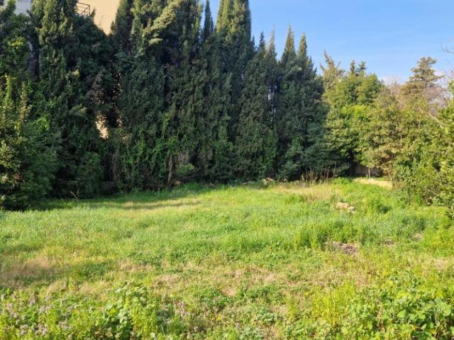 Mougins Vente Terrain 06