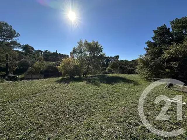 Mougins 06250 Achat / Vente terrain