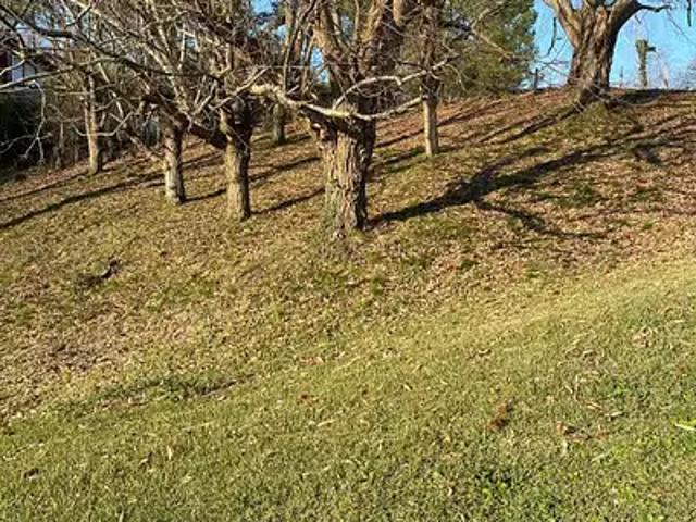 Mouguerre 64990 Achat / Vente terrain