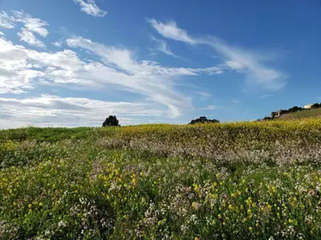 Mouilleron le Captif 85000 Programme neuf terrain neuf à vendre