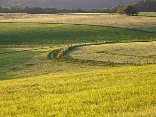 Mouilleron le Captif 85000 Programme neuf terrain neuf à vendre
