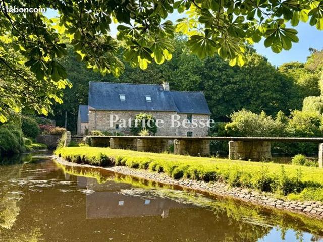 Moulin 10 pièces 303 m²