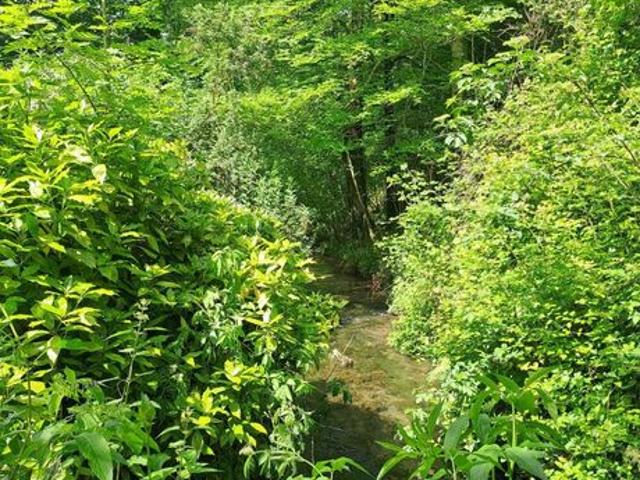 Moulin 5 pièces 150 m²