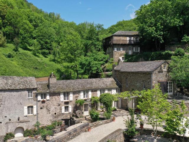Moulin à eau, piscine Sud Ouest de la France 424m² Coupiac
