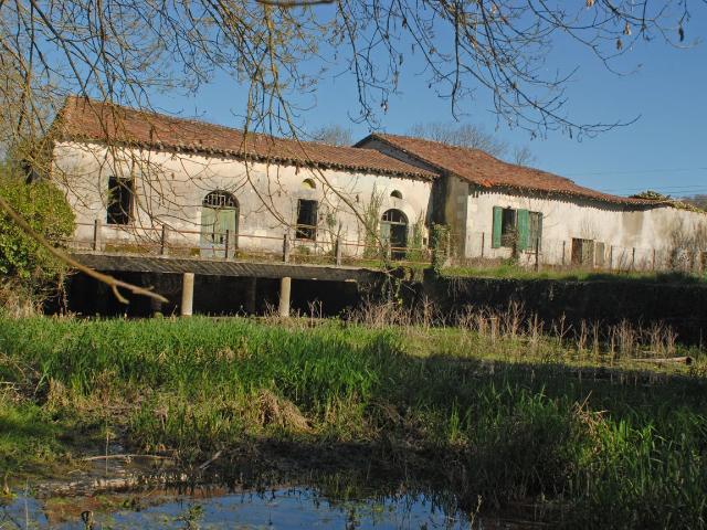 Moulin À Restaurer 200m² Courlac