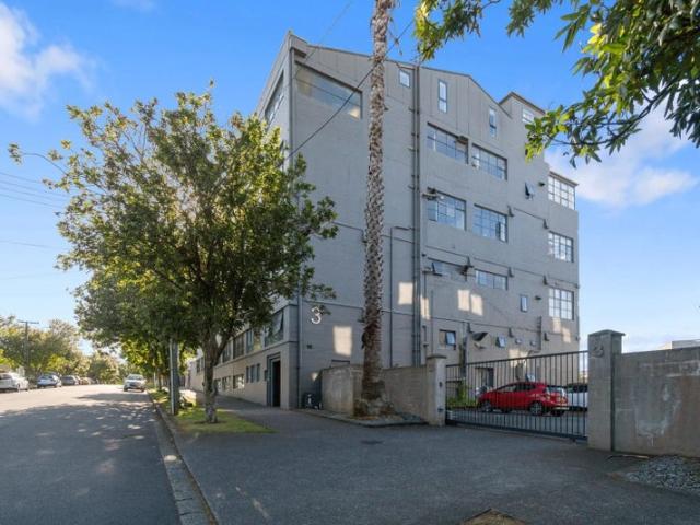 mount eden, studio