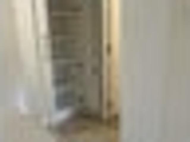 Mount Eden, 1 bedroom, $455 pw