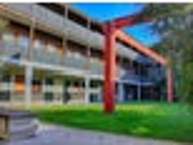 Mount Eden, 1 bedroom, $330 pw