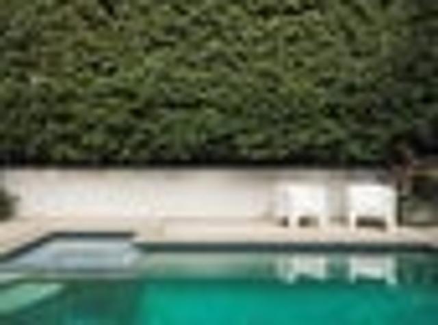 Mount Eden, 5 bedrooms, $3000 pw